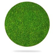 Machový obraz kruh LIŠAJNÍK mono GREEN, priemer 55cm, dubový rám